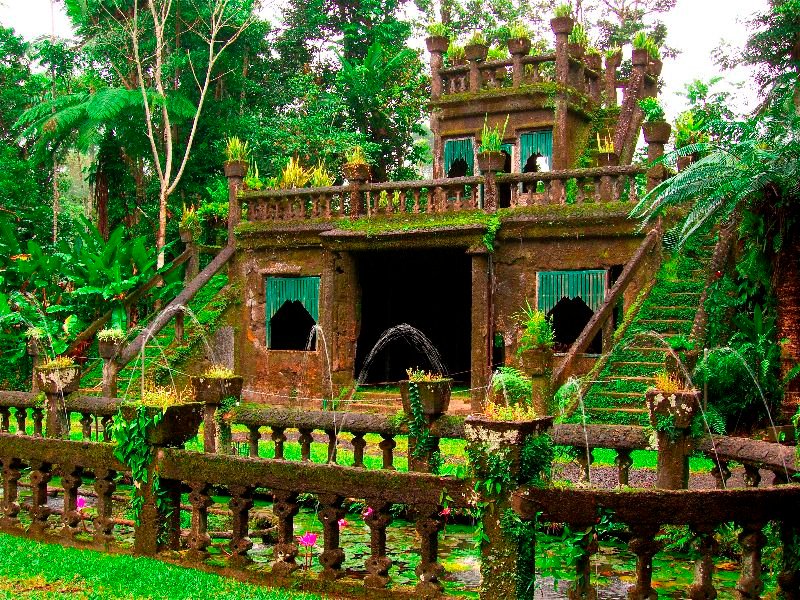 Private paronella park & waterfalls tour