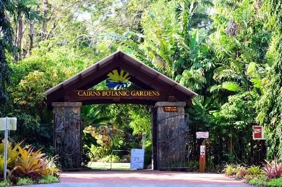 Private kuranda village & rainforest tour